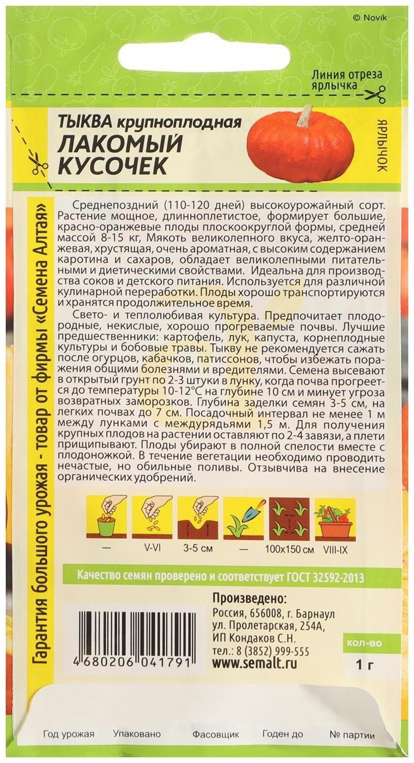 Семена Тыква 