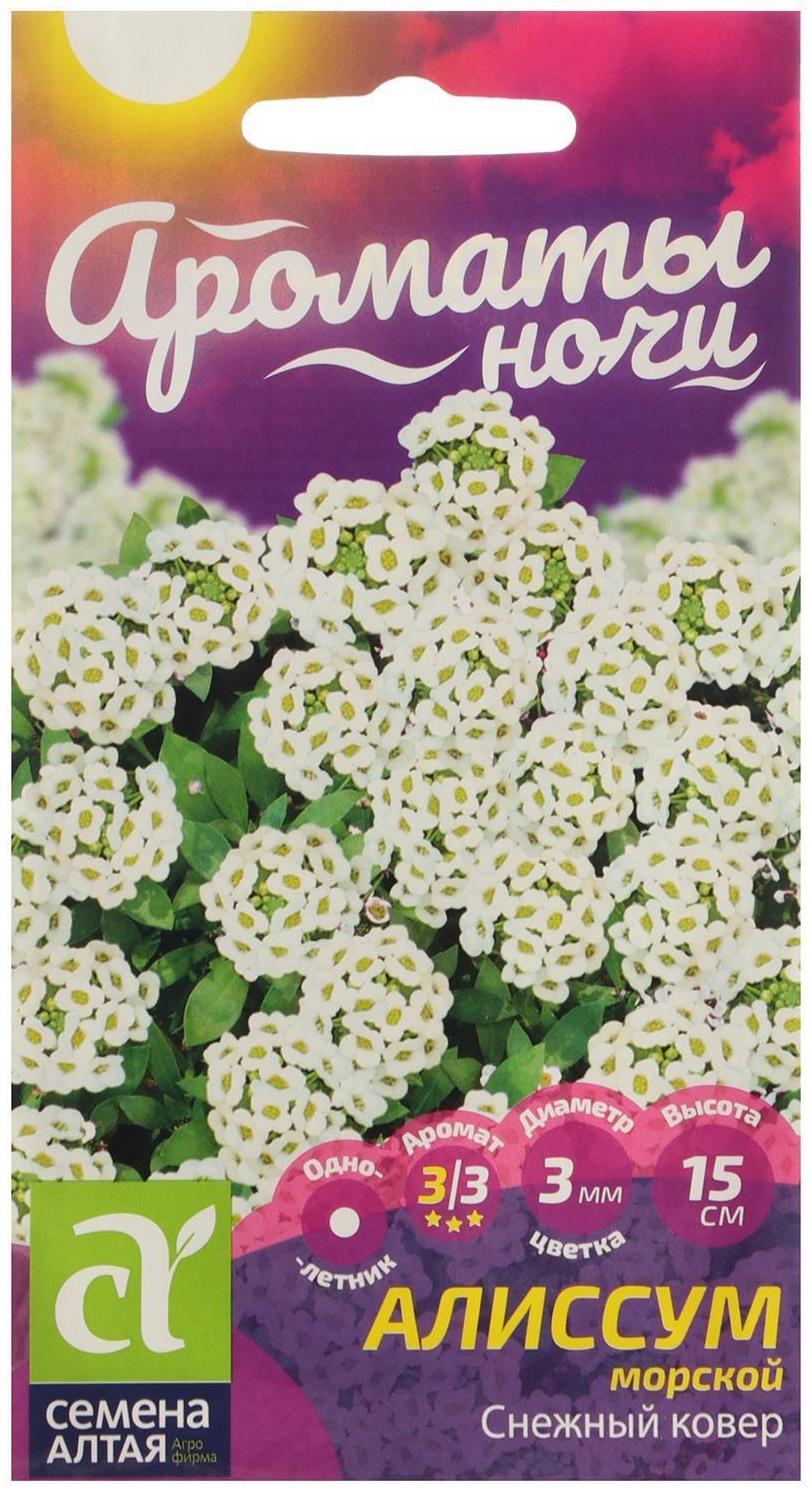 Семена цветов Алиссум 
