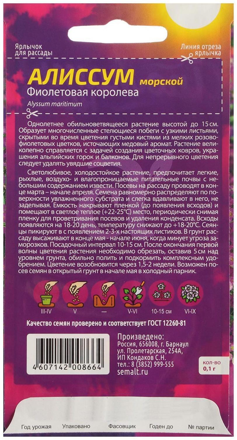 Семена цветов Алиссум 