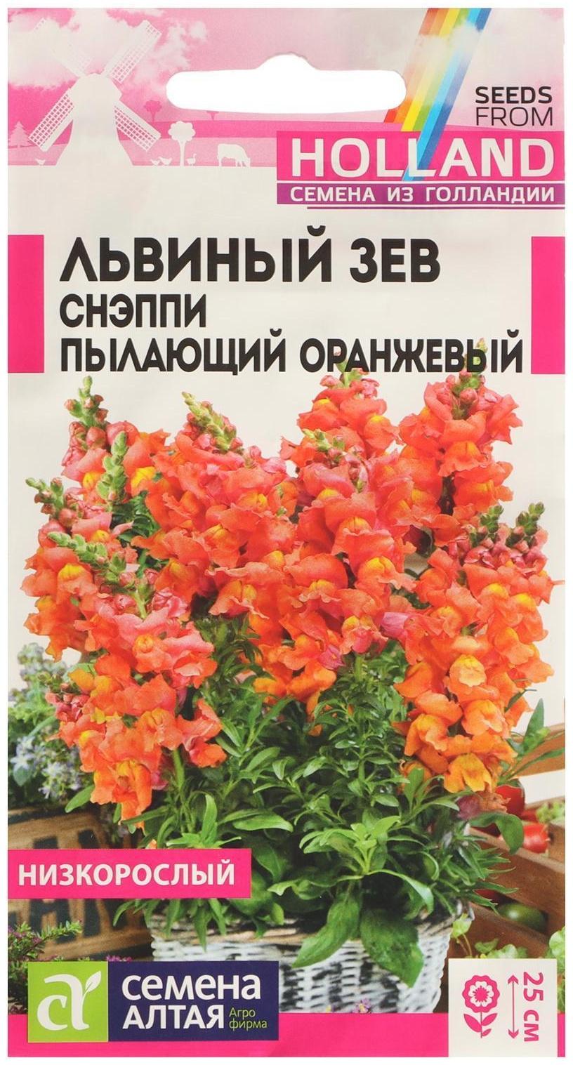 Семена цветов Львиный зев Снэппи 