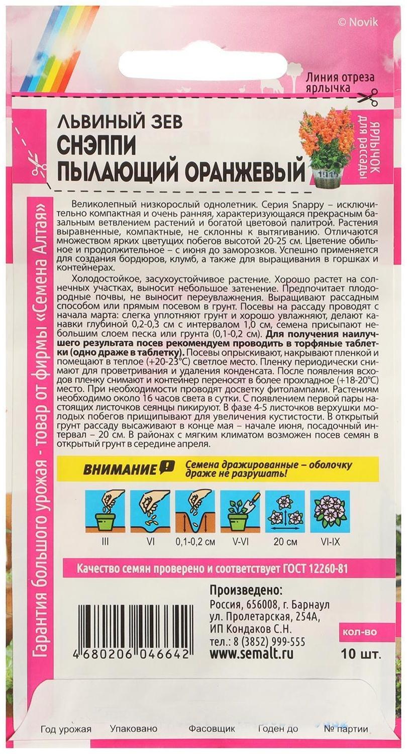 Семена цветов Львиный зев Снэппи 