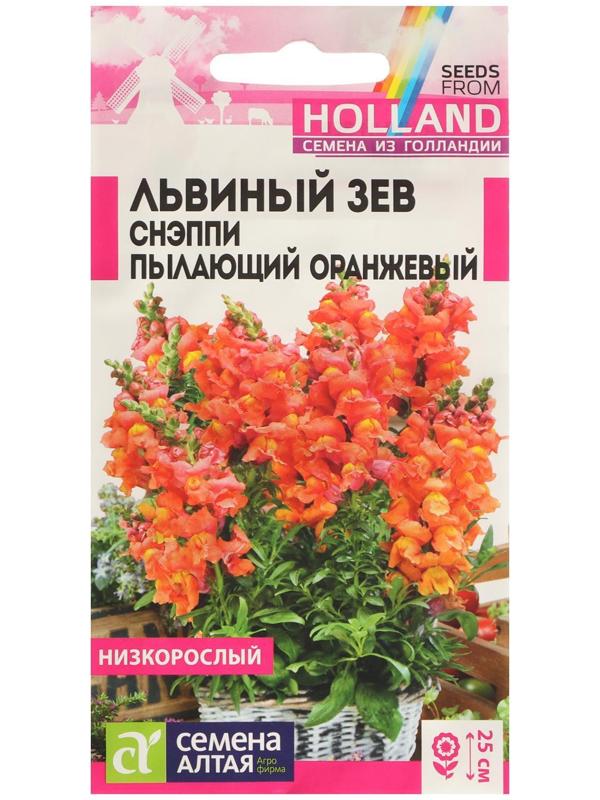 Семена цветов Львиный зев Снэппи 