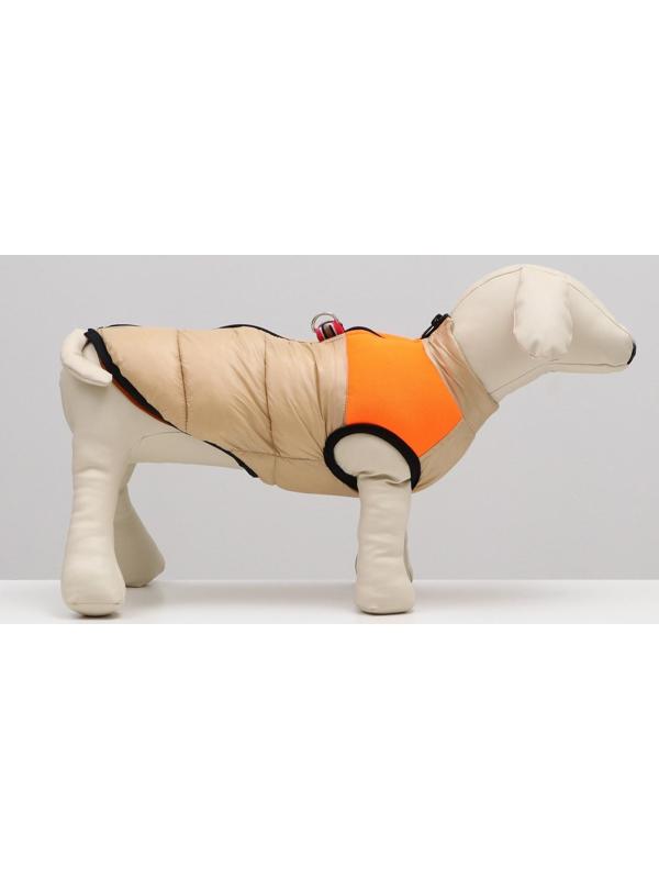 Куртка для собак на молнии, размер 14 (ДС 32 см, ОГ 42 см, ОШ 31 см), бежевая с оранжевым