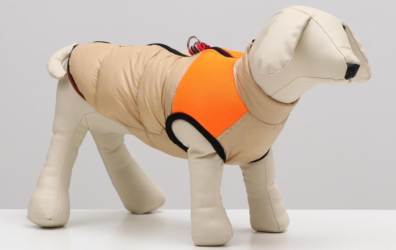 Куртка для собак на молнии, размер 16 (ДС 36 см, ОГ 46 см, ОШ 35 см), бежевая с оранжевым