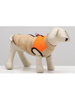 Куртка для собак на молнии, размер 16 (ДС 36 см, ОГ 46 см, ОШ 35 см), бежевая с оранжевым