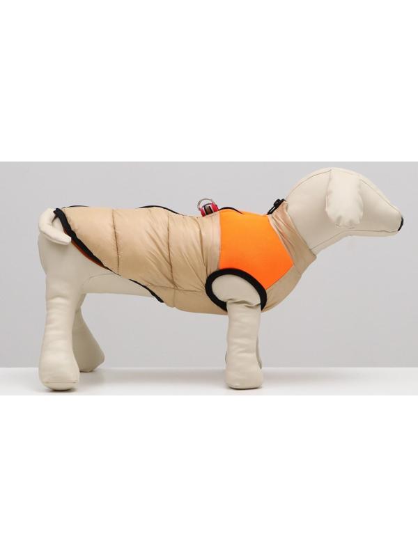 Куртка для собак на молнии, размер 16 (ДС 36 см, ОГ 46 см, ОШ 35 см), бежевая с оранжевым