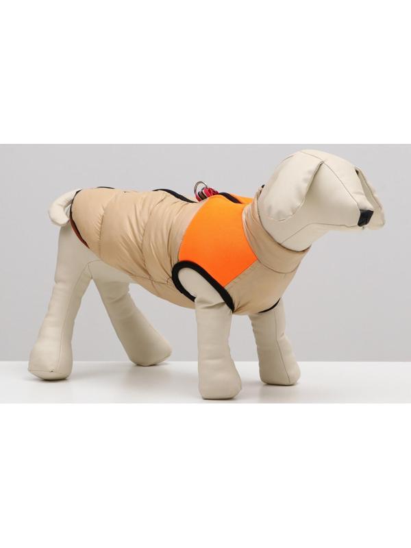 Куртка для собак на молнии, размер 16 (ДС 36 см, ОГ 46 см, ОШ 35 см), бежевая с оранжевым