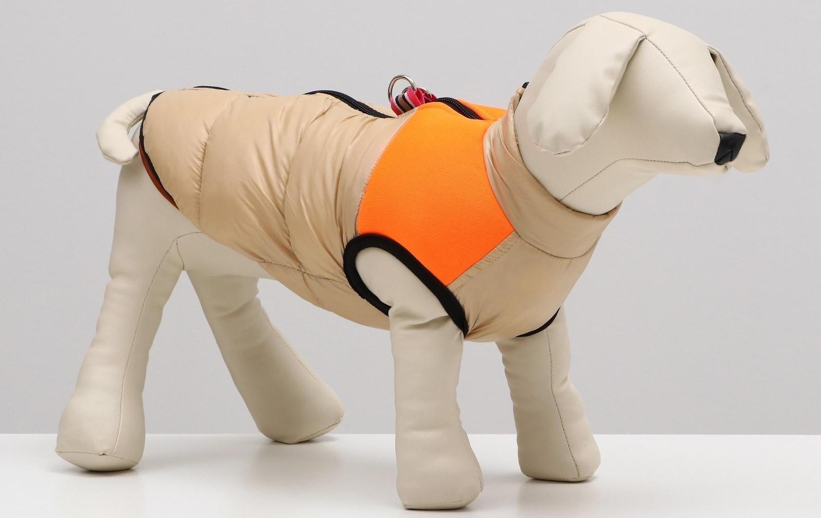 Куртка для собак на молнии, размер 18 (ДС 40 см, ОГ 50 см, ОШ 38 см), бежевая с оранжевым