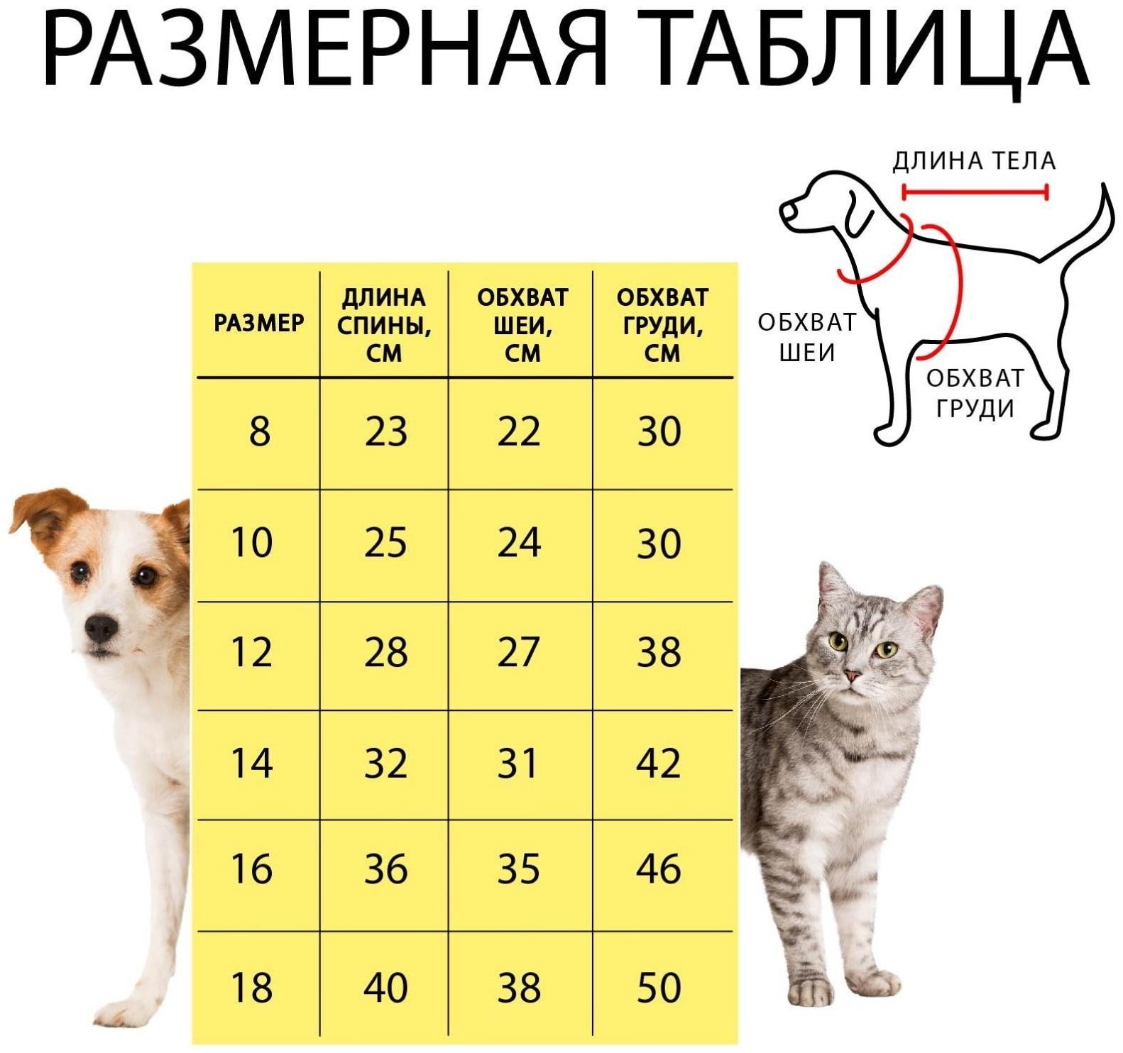 Светоотражающий жилет для собак, размер 14 (ДС 32 см, ОГ 42 см, ОШ 31 см),  оранжевый