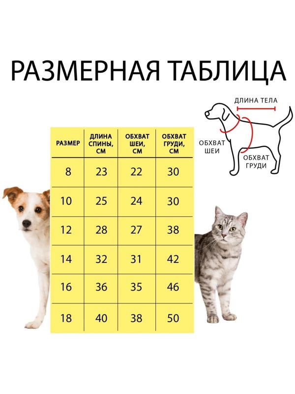 Светоотражающий жилет для собак, размер 14 (ДС 32 см, ОГ 42 см, ОШ 31 см),  оранжевый