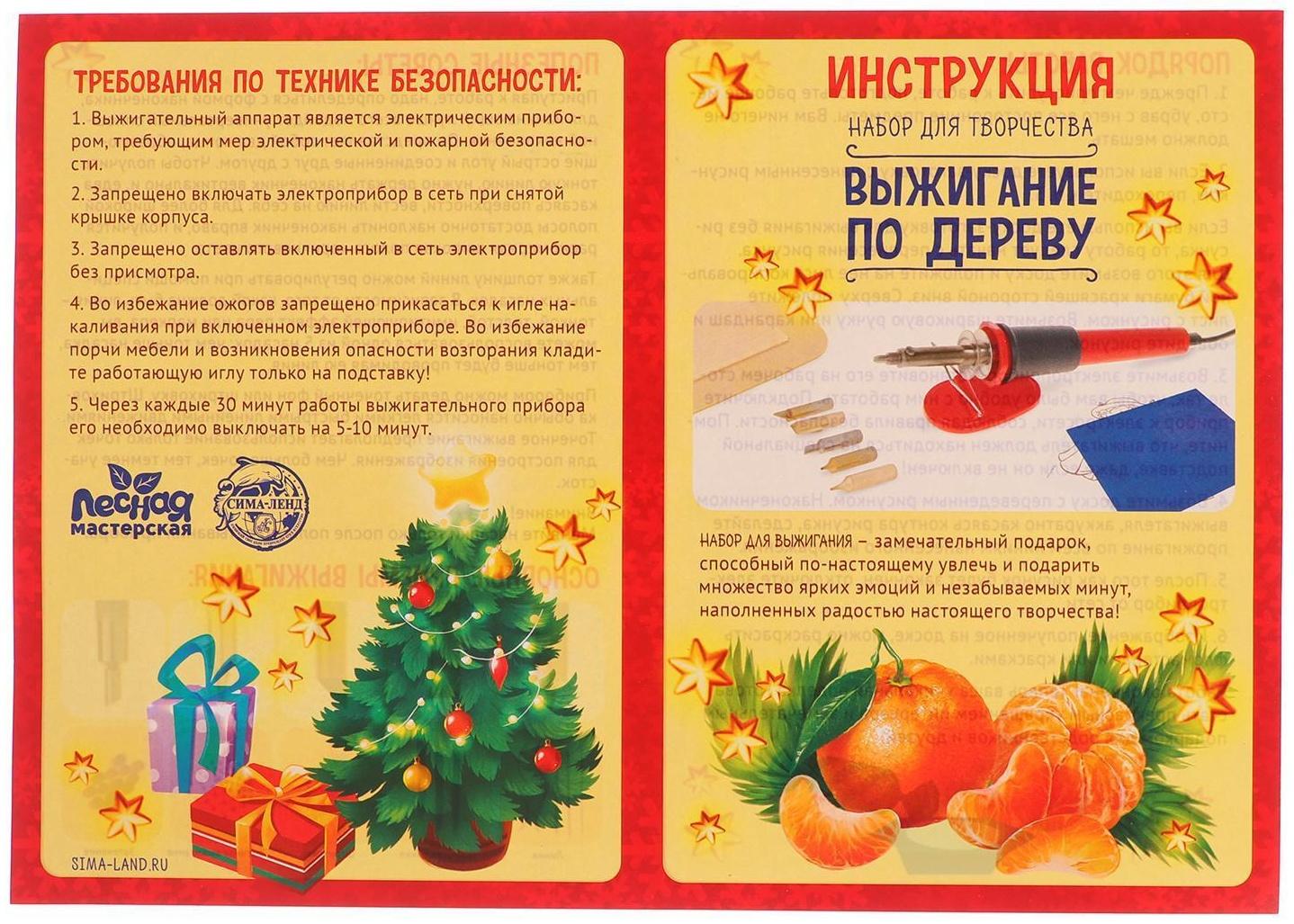 Набор для выжигания и росписи по дереву «С Новым годом!»