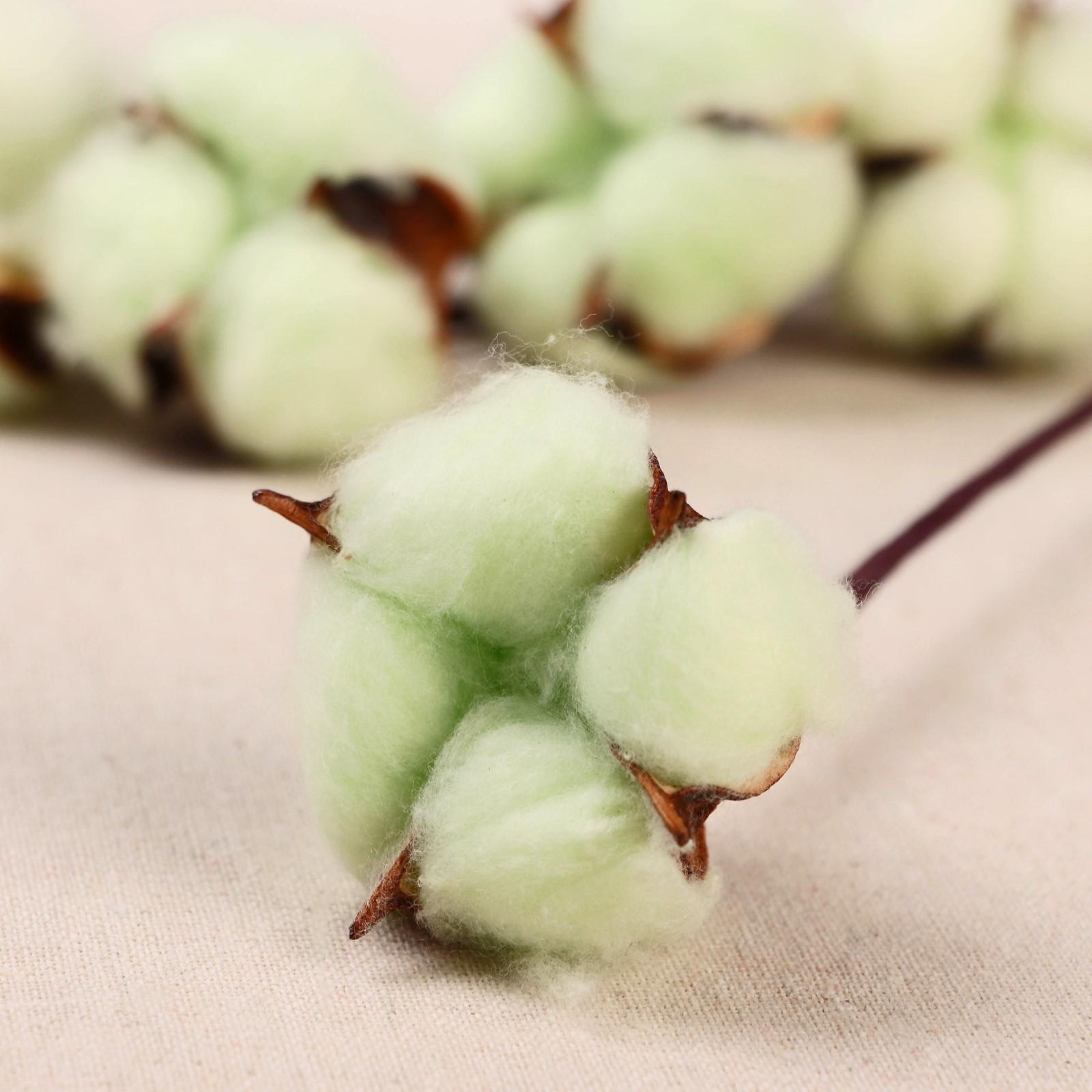 Декор сухоцвет 