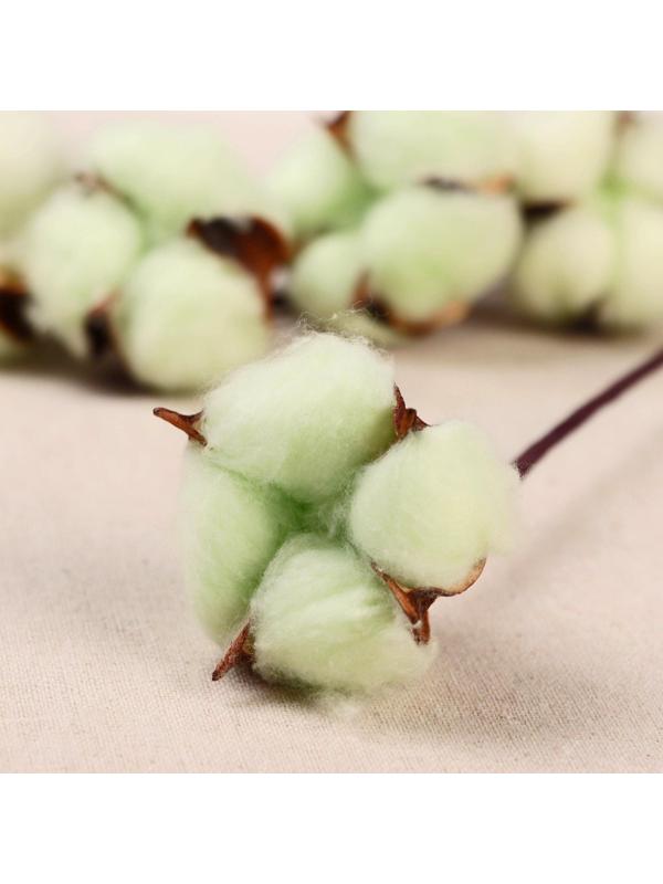 Декор сухоцвет 