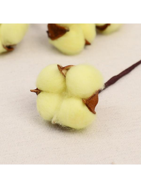 Декор сухоцвет 