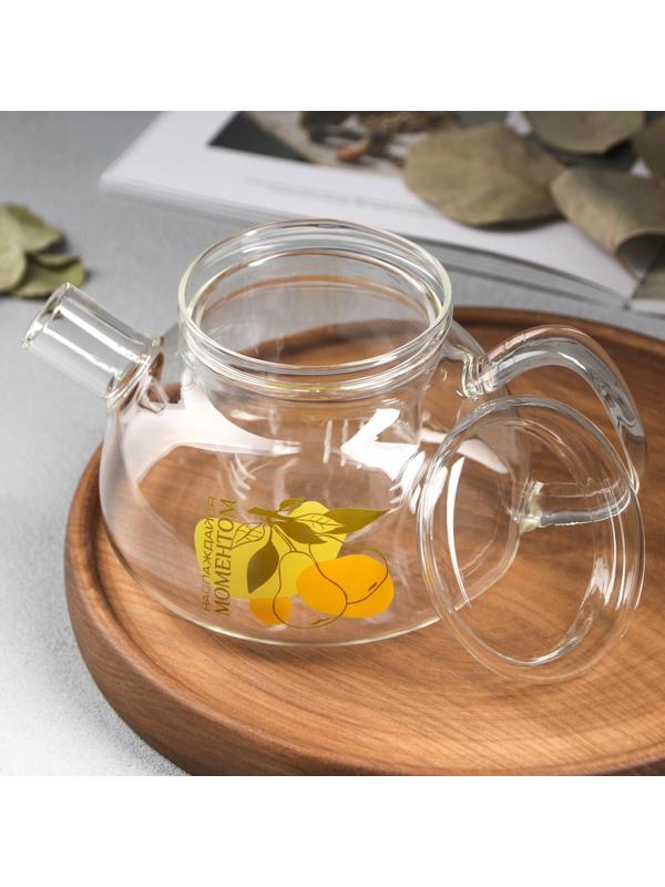 Чайник «Наслаждайся моментом», 800 мл