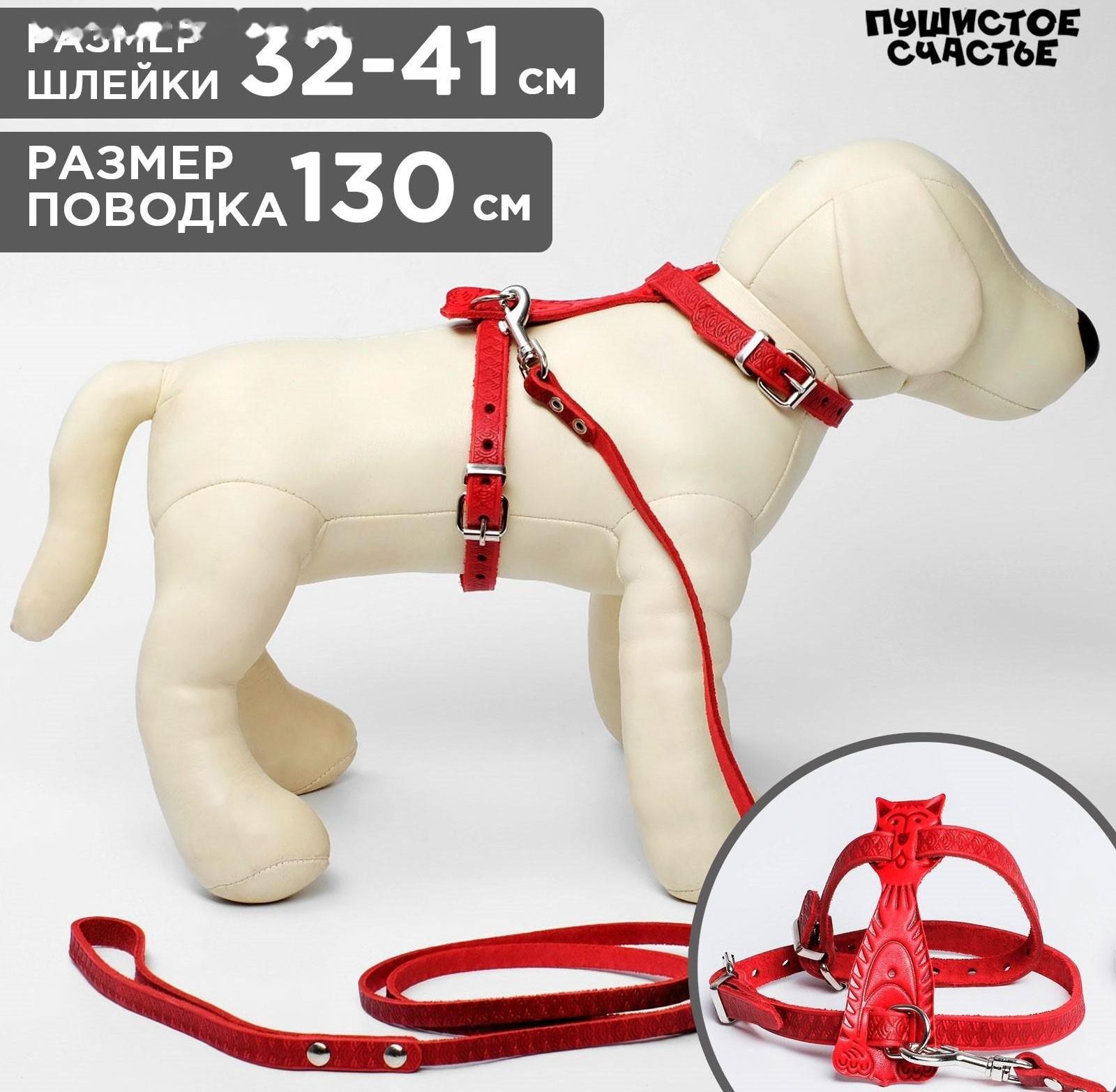 Комплект «Кошка», красный (шлейка 32-41х1 см, поводок 130х0.8 см)