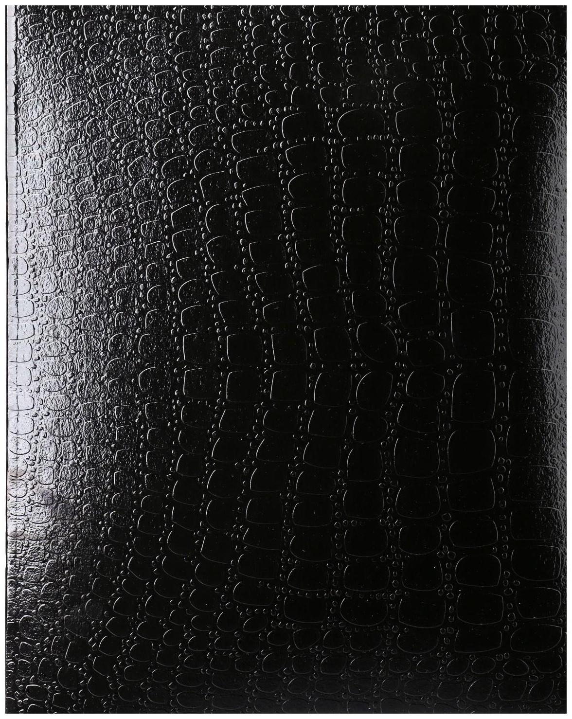 Тетрадь 48 листов в клетку Croco, бумвинил metallic, тиснение, блок офсет, чёрный / 1 шт.