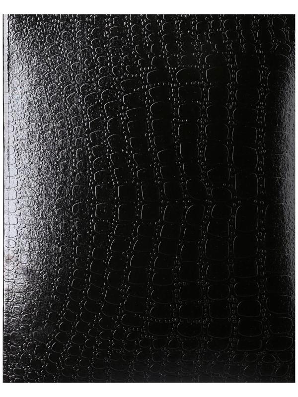 Тетрадь 48 листов в клетку Croco, бумвинил metallic, тиснение, блок офсет, чёрный / 1 шт.