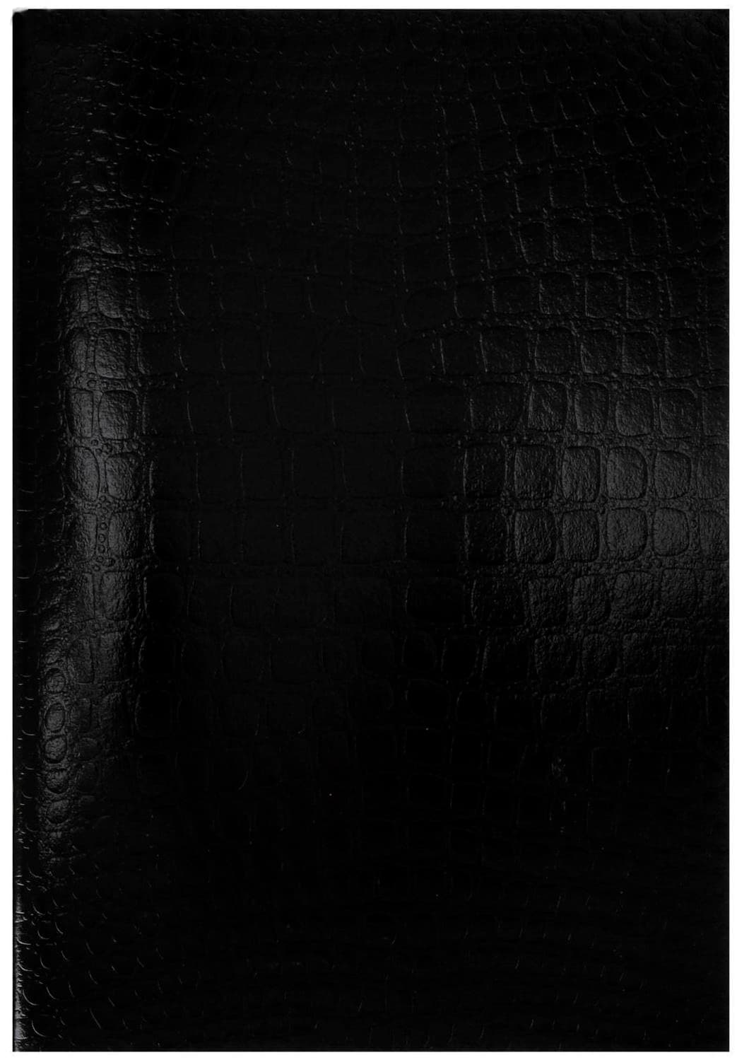 Тетрадь А4 Hatber, 96 листов в клетку Croco, бумвинил metallic, тиснение, блок офсет / Чёрная