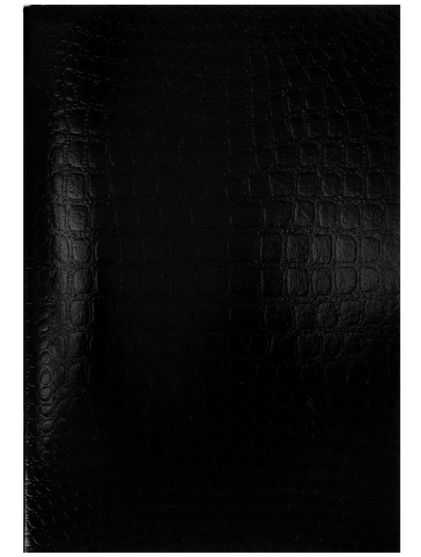 Тетрадь А4 Hatber, 96 листов в клетку Croco, бумвинил metallic, тиснение, блок офсет / Чёрная