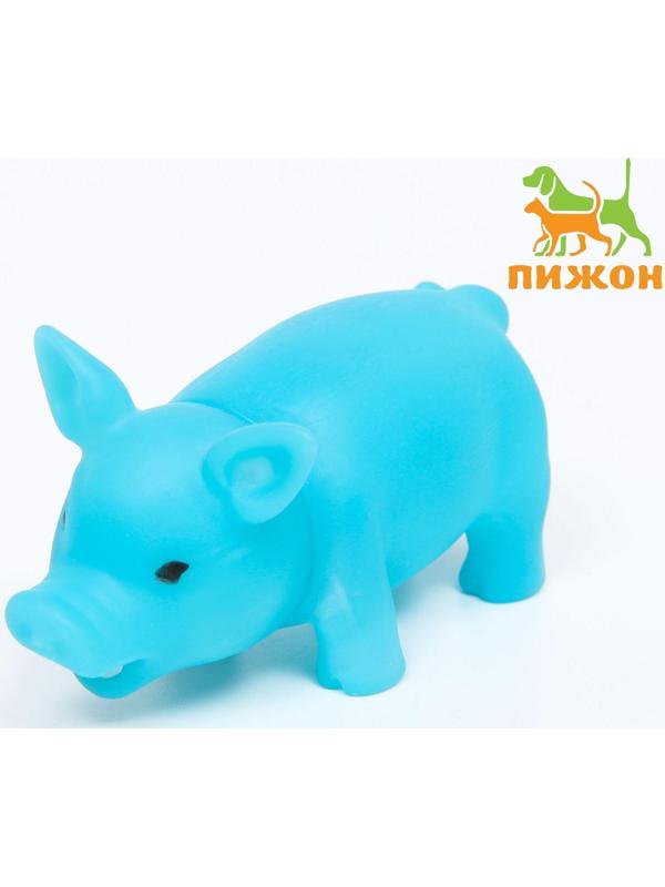 Игрушка пищащая 