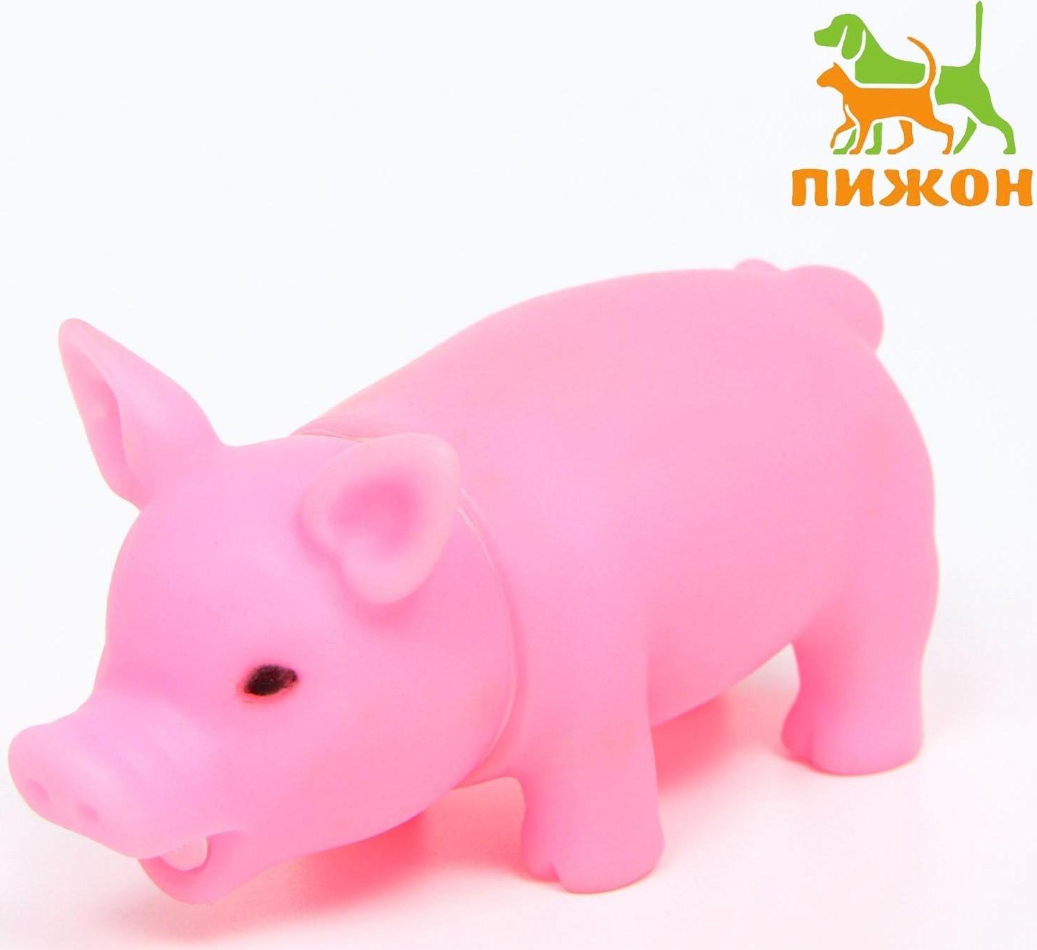 Игрушка пищащая 