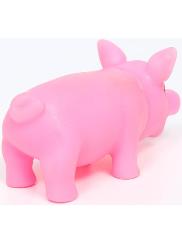 Игрушка пищащая 