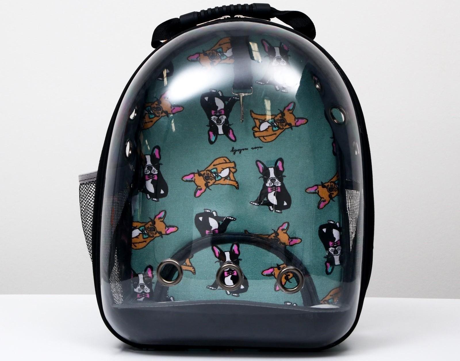 Рюкзак для переноски кошек и собак прозрачный «Силуэты», 31 х 28 х 42 см