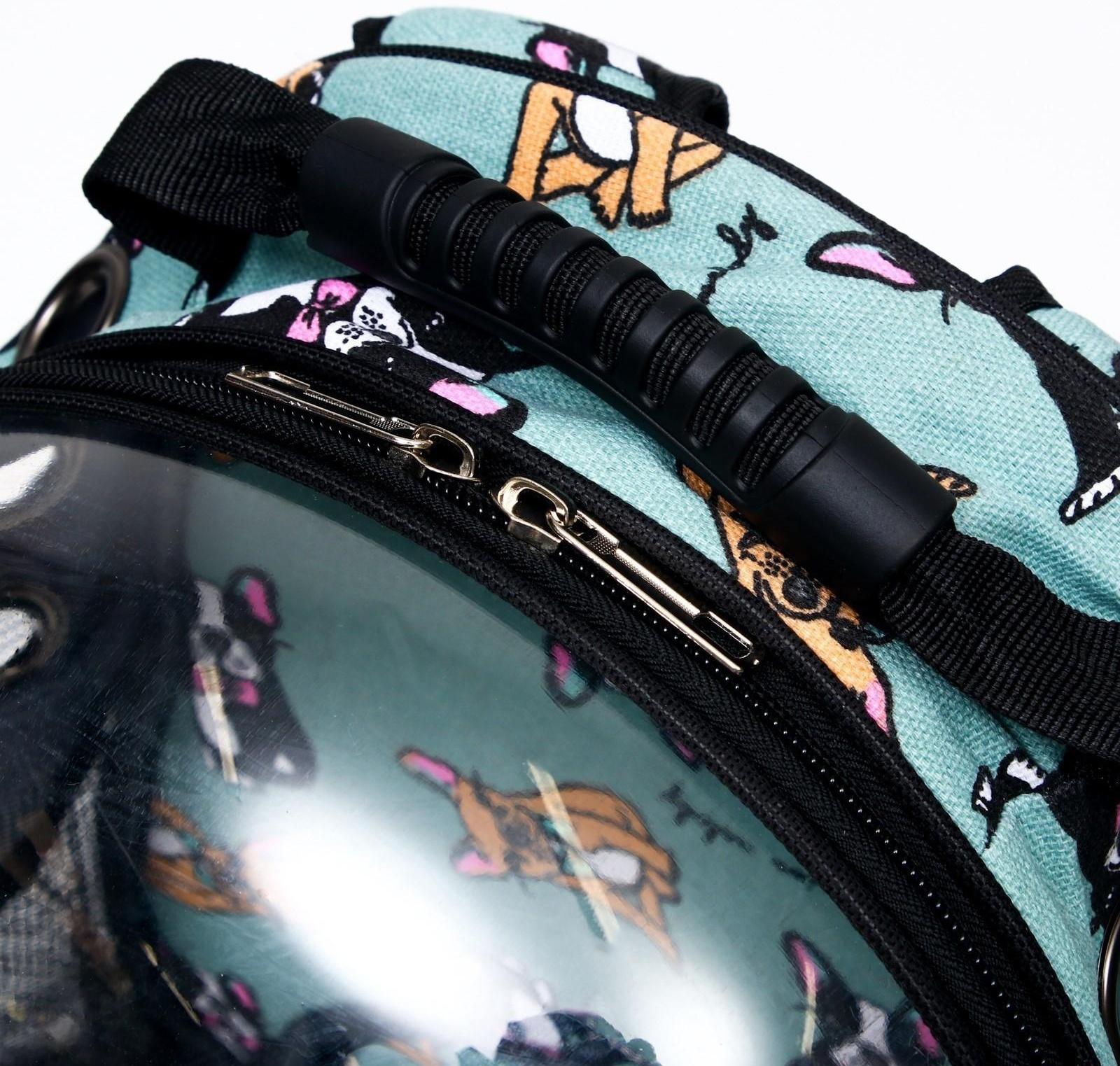 Рюкзак для переноски кошек и собак прозрачный «Силуэты», 31 х 28 х 42 см