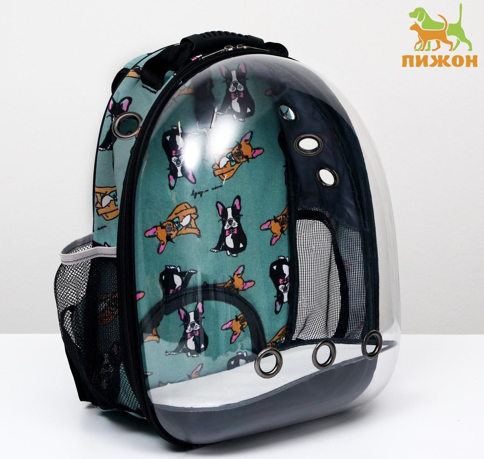 Рюкзак для переноски кошек и собак прозрачный «Силуэты», 31 х 28 х 42 см