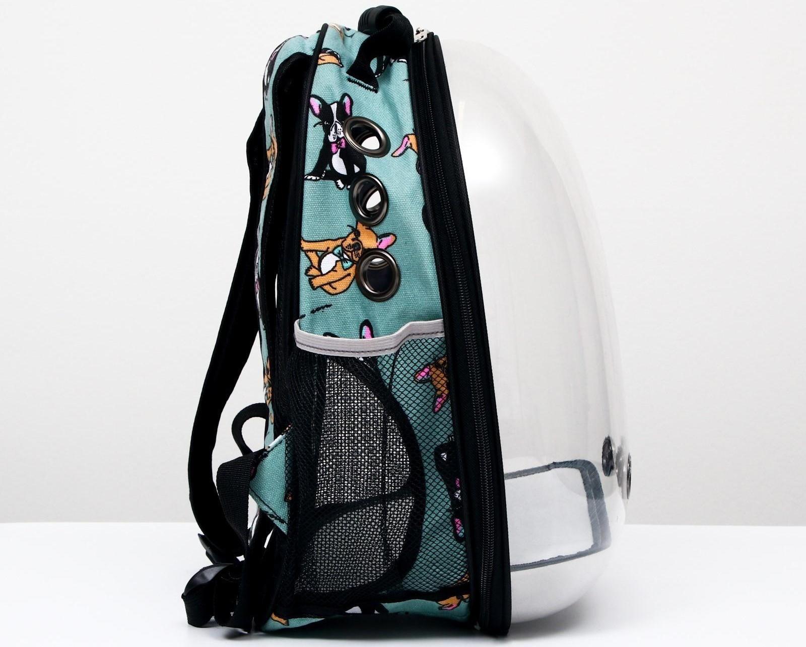 Рюкзак для переноски кошек и собак прозрачный «Силуэты», 31 х 28 х 42 см