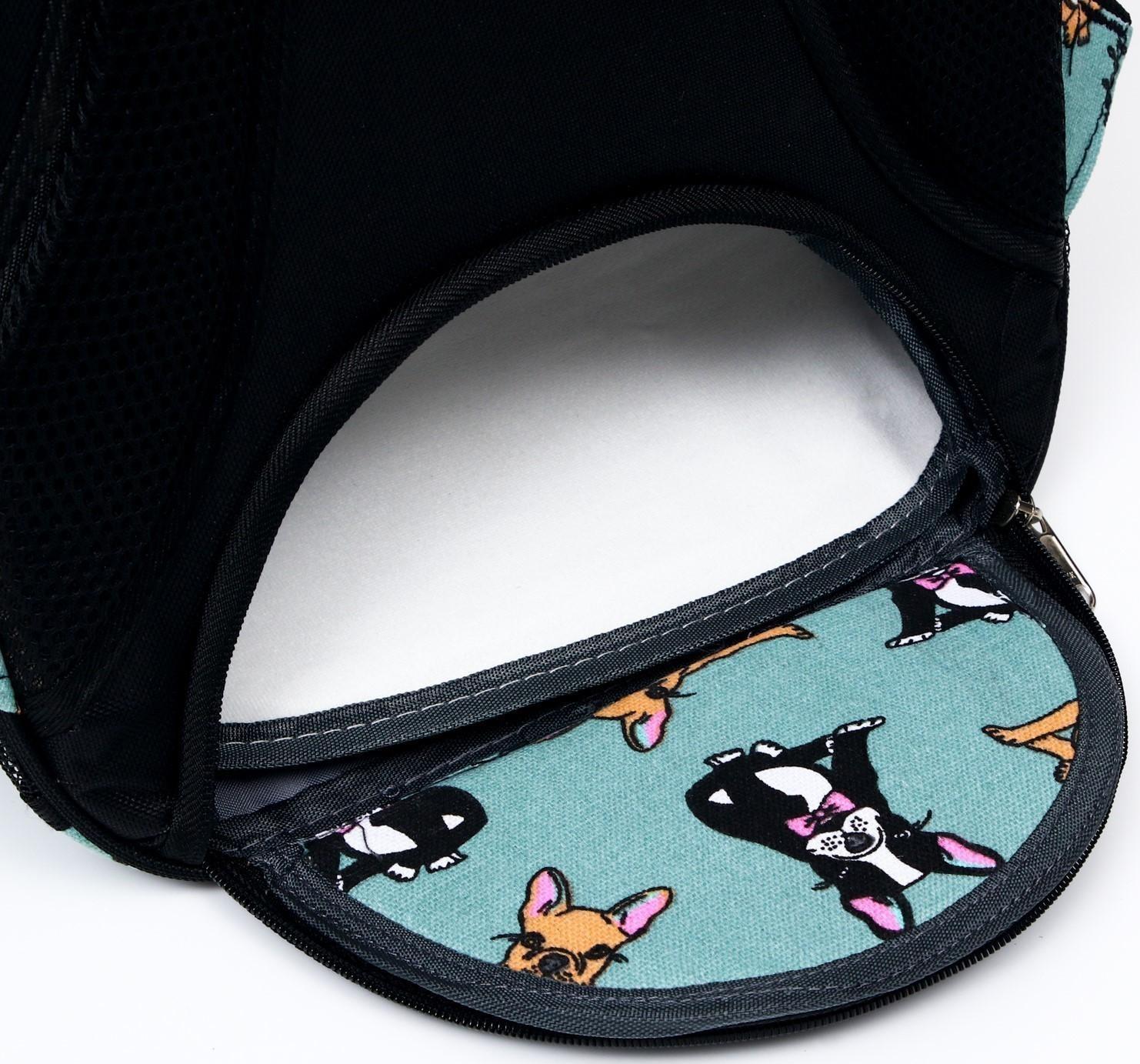 Рюкзак для переноски кошек и собак прозрачный «Силуэты», 31 х 28 х 42 см