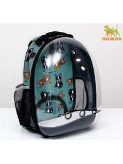 Рюкзак для переноски кошек и собак прозрачный «Силуэты», 31 х 28 х 42 см