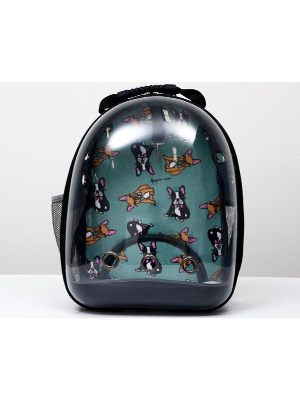 Рюкзак для переноски кошек и собак прозрачный «Силуэты», 31 х 28 х 42 см