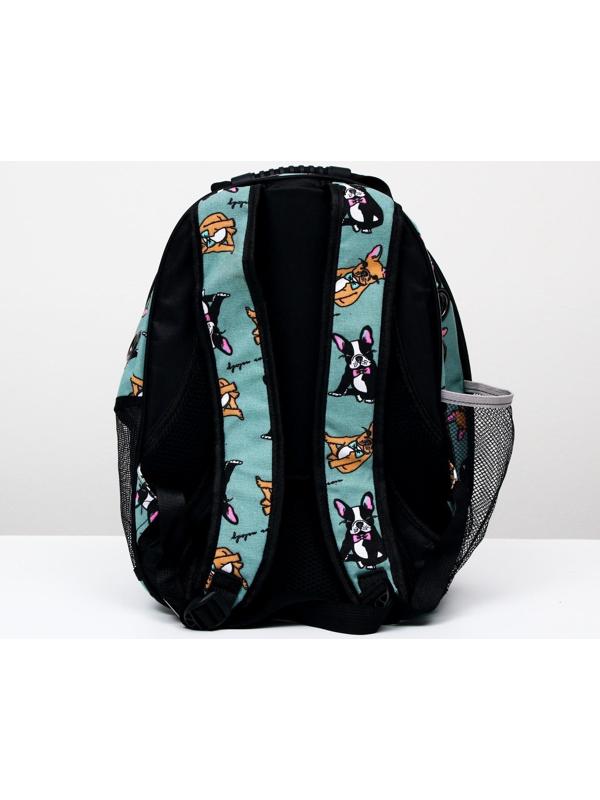 Рюкзак для переноски кошек и собак прозрачный «Силуэты», 31 х 28 х 42 см