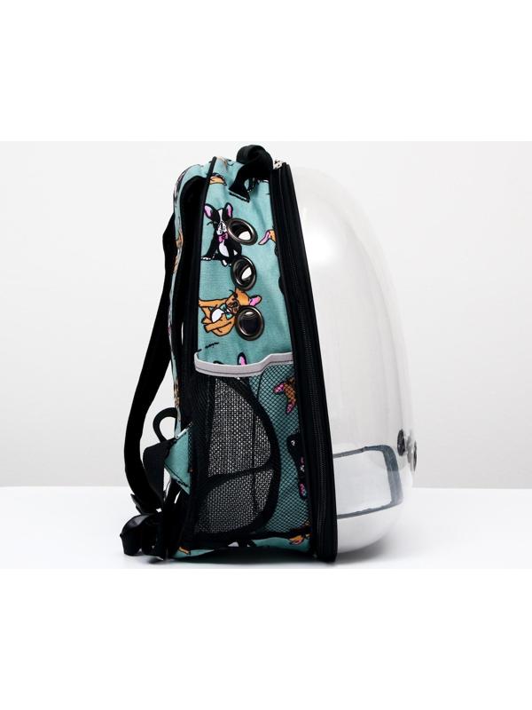 Рюкзак для переноски кошек и собак прозрачный «Силуэты», 31 х 28 х 42 см