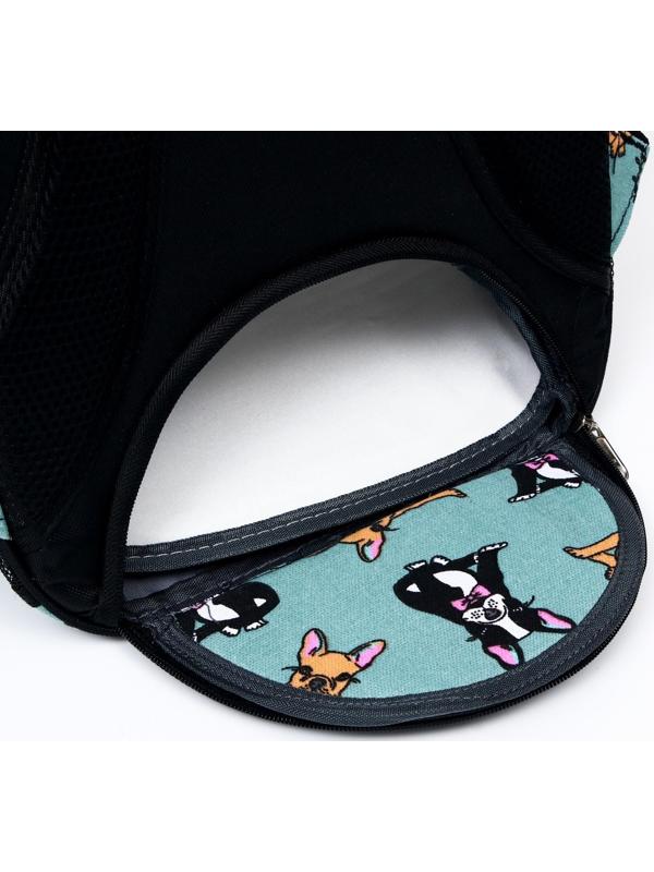 Рюкзак для переноски кошек и собак прозрачный «Силуэты», 31 х 28 х 42 см