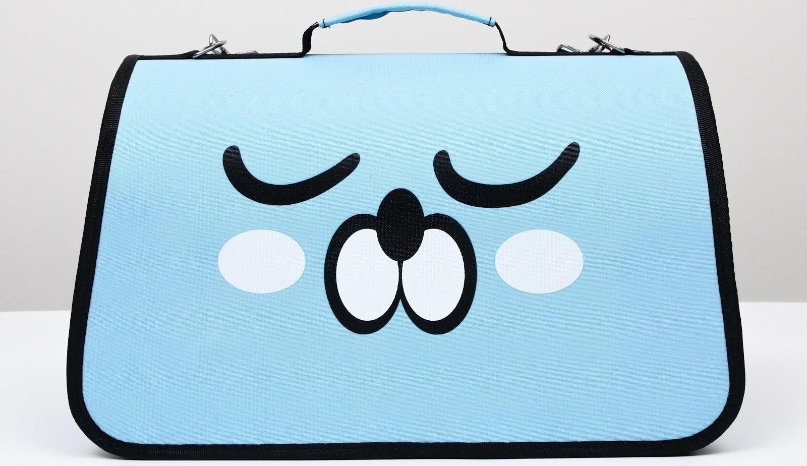 Сумка-переноска каркасная 