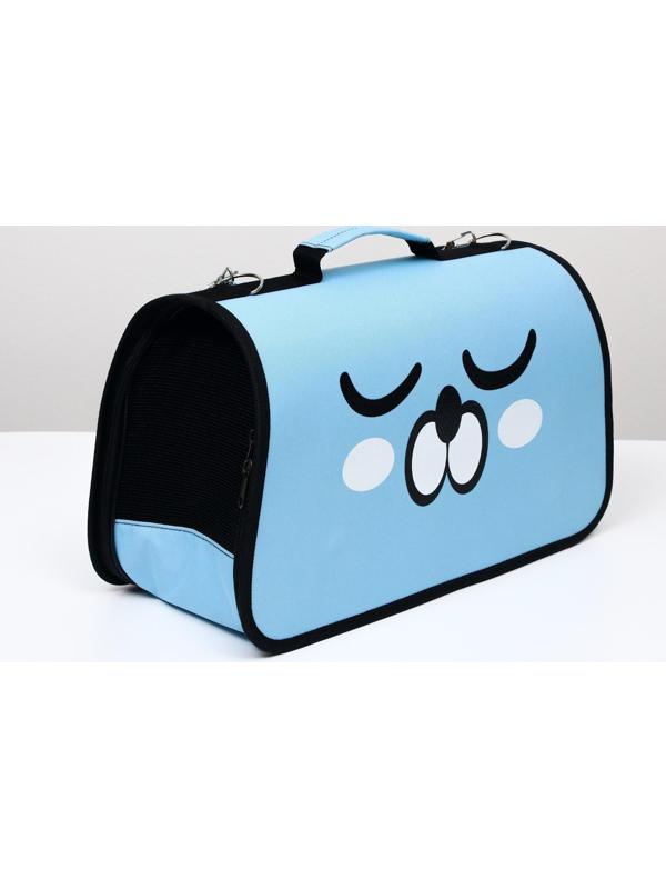 Сумка-переноска каркасная 