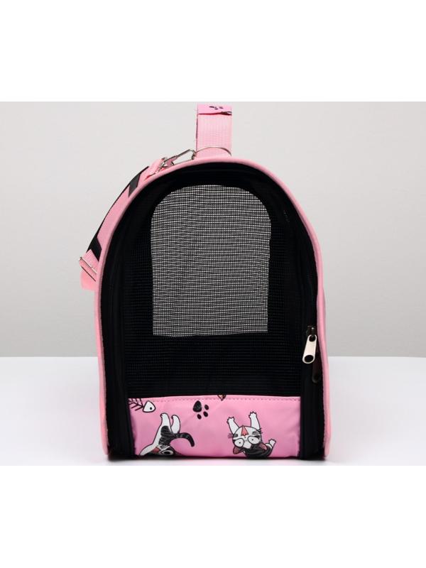 Сумка-переноска каркасная 