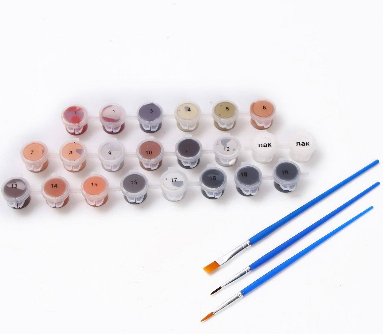 Картина по номерам на холсте с подрамником «Дерзкая девушка» 40х50 см