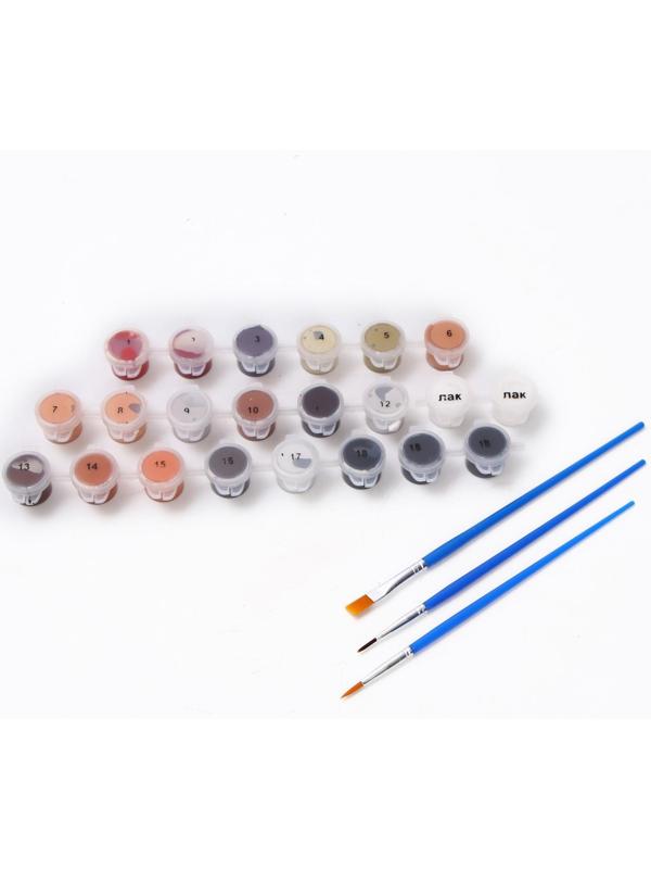 Картина по номерам на холсте с подрамником «Дерзкая девушка» 40х50 см