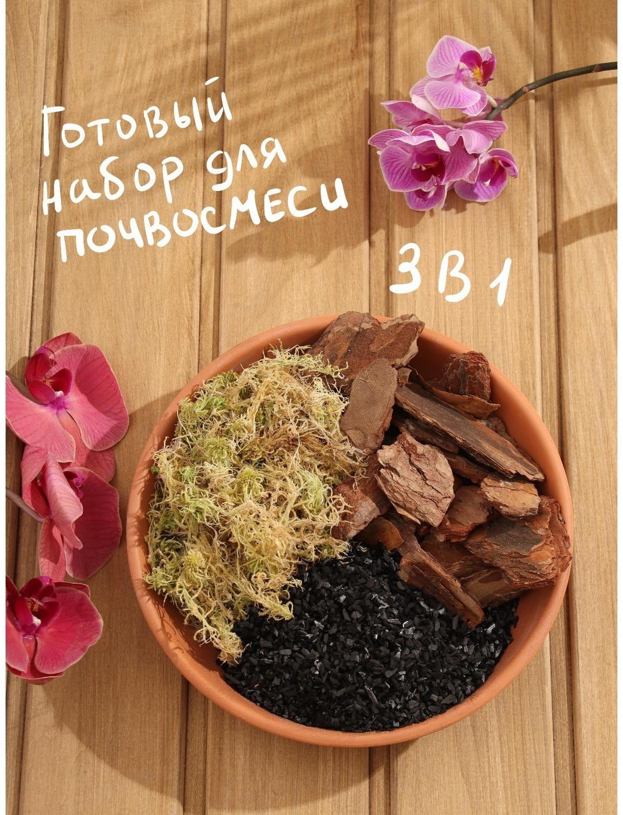 Набор для орхидей Кора 2-6 фр + Мох сфагнум + Уголь активированный 50 г 