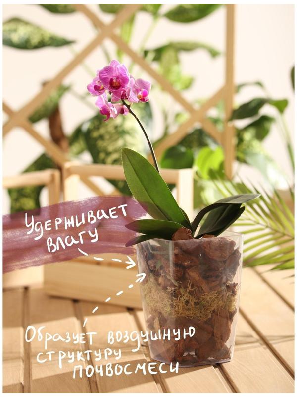 Набор для орхидей Кора 2-6 фр + Мох сфагнум + Уголь активированный 50 г 