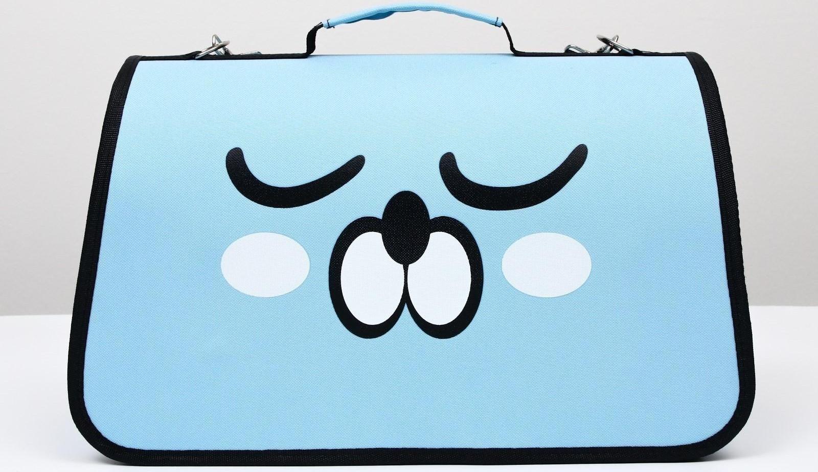 Сумка-переноска каркасная 