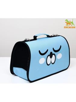 Сумка-переноска каркасная 