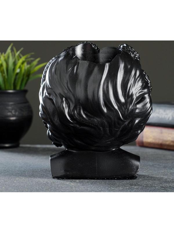 Кашпо - органайзер 