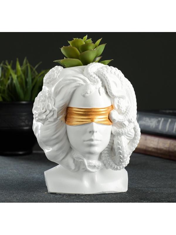 Кашпо - органайзер 