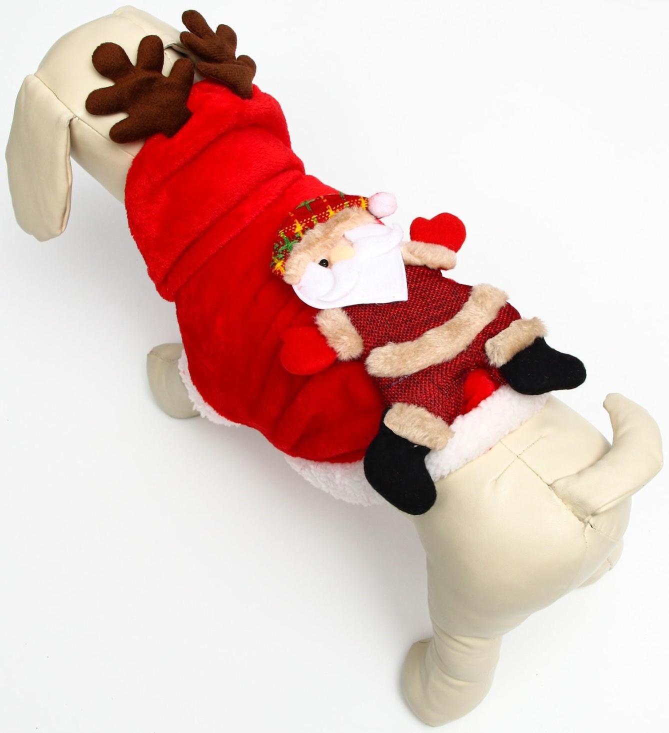 Куртка на кнопочках с меховой отделкой Santa, L (ДС 30, ОГ 42 см)