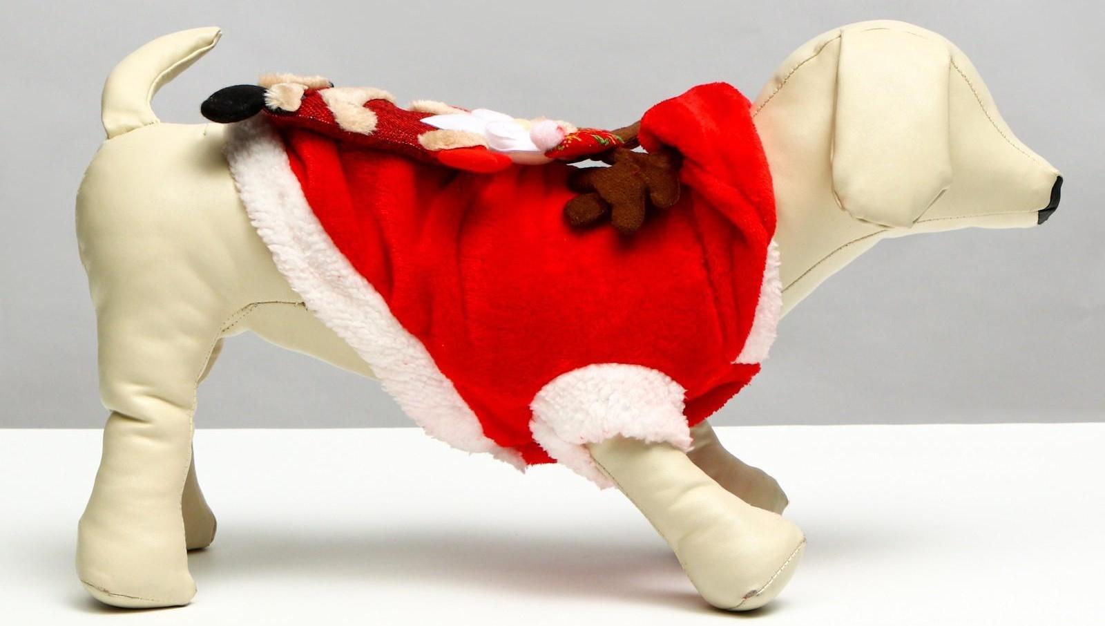 Куртка на кнопочках с меховой отделкой Santa, L (ДС 30, ОГ 42 см)